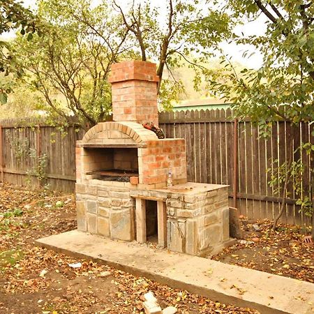 Pensiunea Ianis פיאטרה ניאמט מראה חיצוני תמונה